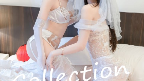 免费高清精品剧集短视频平台入口